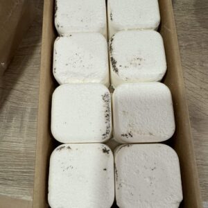 Bomba de ducha limpieza energética