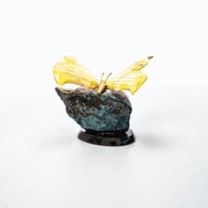 Mariposa amarilla amatista - Imagen 2