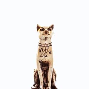 gato egipcio pequeño blanco