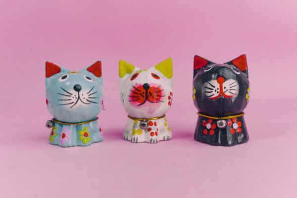 Gato llama fortuna