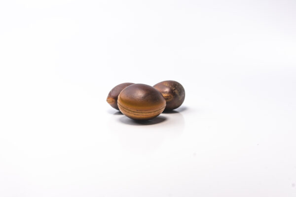 semilla ojo de buey