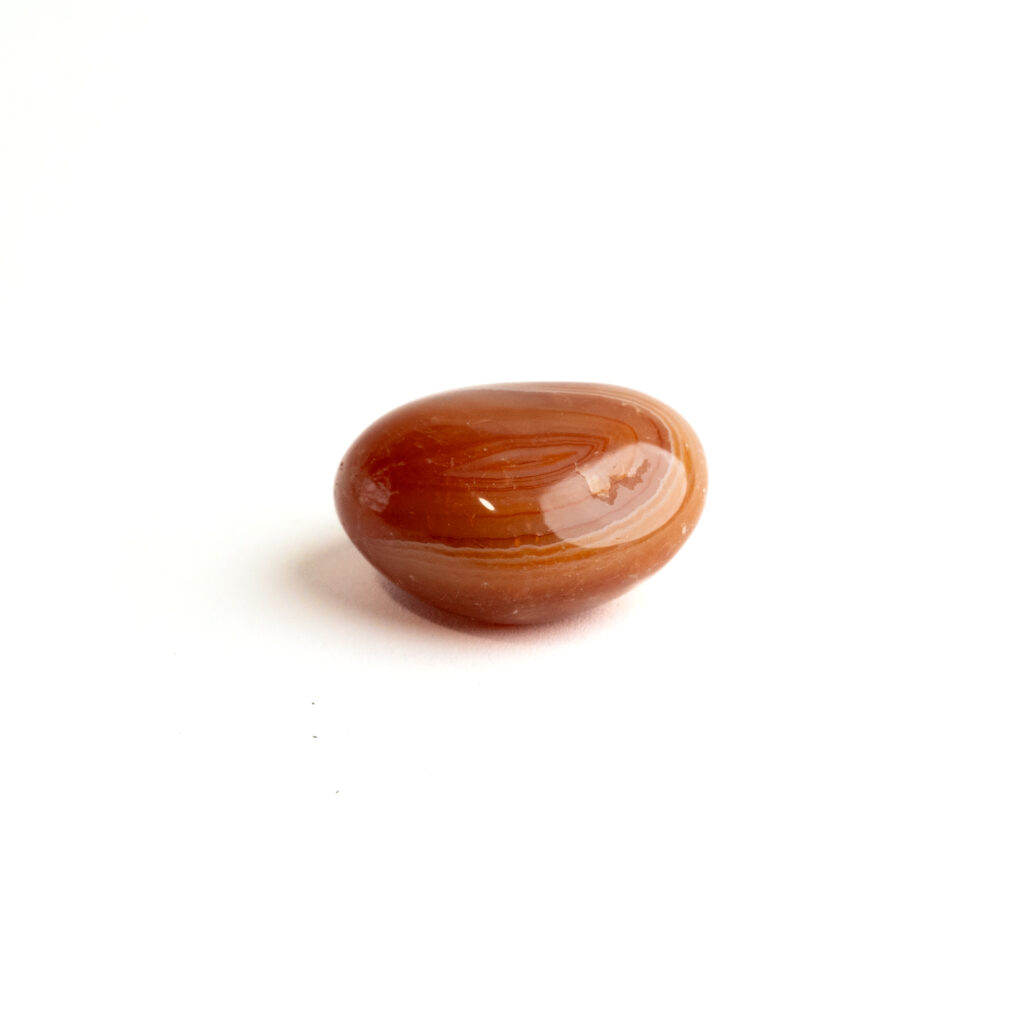 huevos de armonia albaricoque